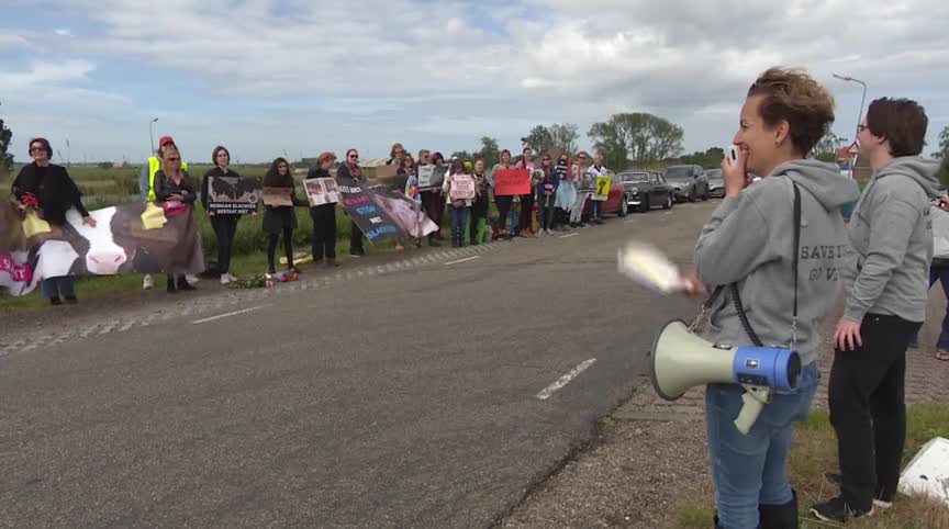 Demonstratie bij slachthuis Oost-Graftdijk zonder problemen verlopen (VIDEO)