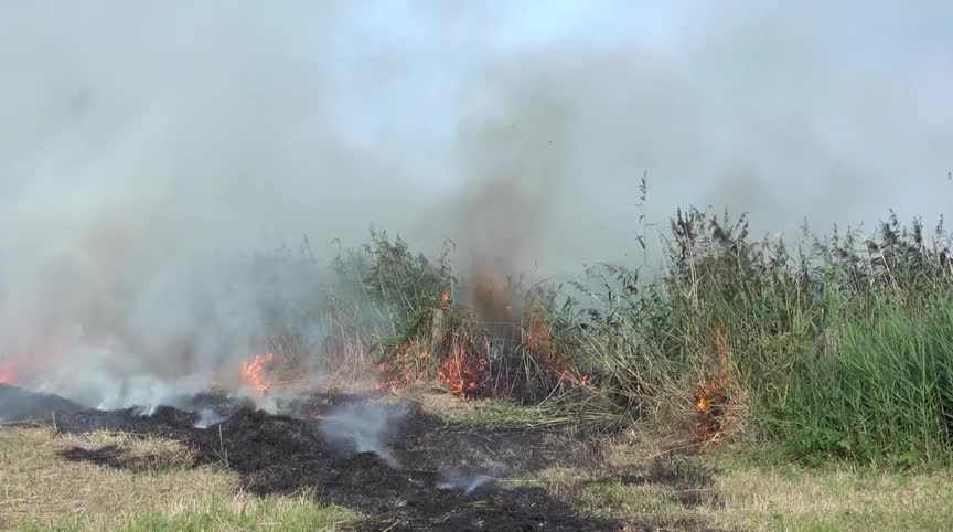 Gemaaid en gedroogd gras in brand bij Munnikenweg in Oudorp (VIDEO)