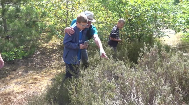 “Van heel dichtbij”: speuren naar zandhagedissen in de duinen